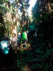 araguaia_160.jpg