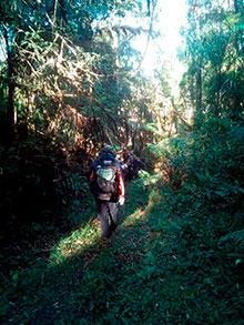 araguaia_163.jpg