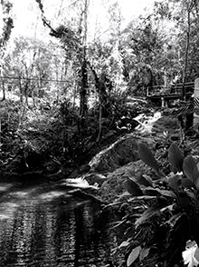araguaia_164.jpg