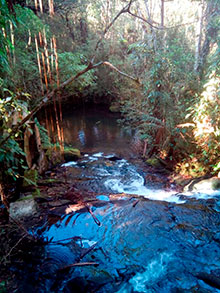araguaia_174.jpg