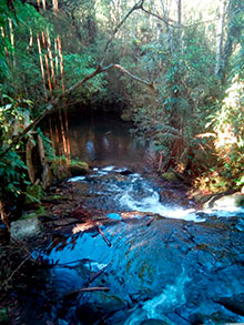 araguaia_176.jpg