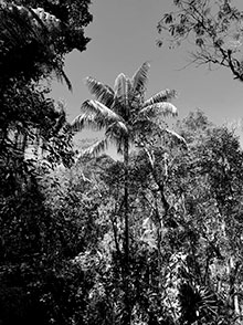 araguaia_180.jpg