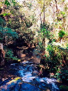 araguaia_190.jpg