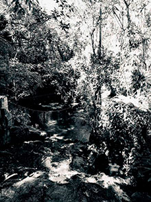 araguaia_195.jpg