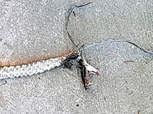 ashaninka_203.jpg
