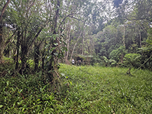 camacari_096.jpg