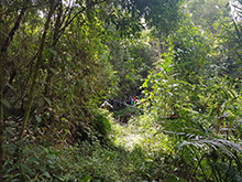 cantao_019.jpg