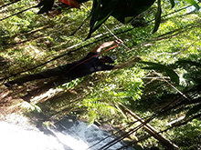 cantao_099.jpg