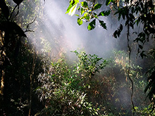 cg6_103.jpg