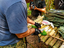 cg6_124.jpg