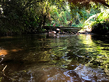 cg6_237.jpg