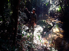 cg6_26.jpg