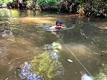 cg6_265.jpg