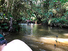 cg6_270.jpg