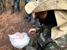 cg6_298.jpg