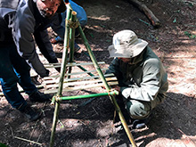 cg6_310.jpg
