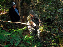 cg6_327.jpg