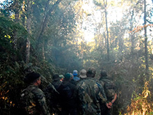 cg6_330.jpg