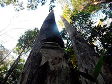 cg6_335.jpg