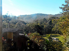 cg6_336.jpg