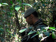 cg6_339.jpg