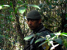 cg6_340.jpg