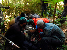 cg6_343.jpg