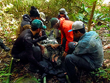 cg6_344.jpg