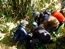 cg6_348.jpg
