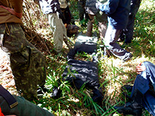 cg6_349.jpg