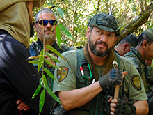 cg6_350.jpg