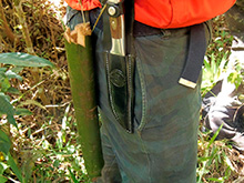 cg6_351.jpg