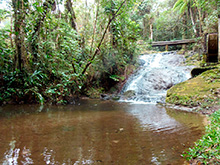cg6_370.jpg