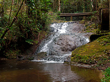 cg6_371.jpg