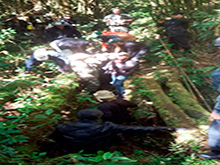 cg6_408.jpg