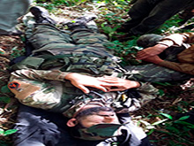 cg6_412.jpg