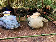 cg6_416.jpg