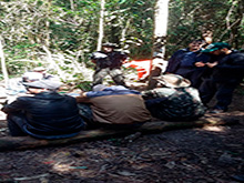 cg6_425.jpg