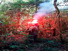cg6_433.jpg