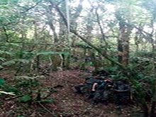 cg6_460.jpg