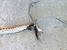 cg7_245.jpg