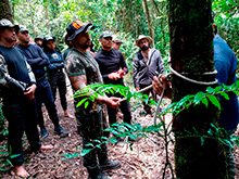 cg7_274.jpg