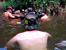 cg7_330.jpg