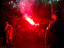 cg7_442.jpg