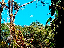 cg7_457.jpg