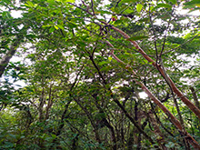 cg7_685.jpg