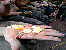 cg7_696.jpg