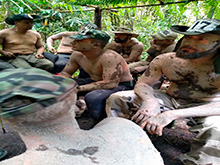 cg7_698.jpg