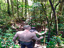 cg7_700.jpg