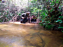 cg7_705.jpg